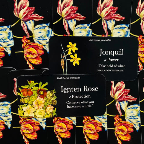 The Language of Flowers Inspiration cards Rockpool