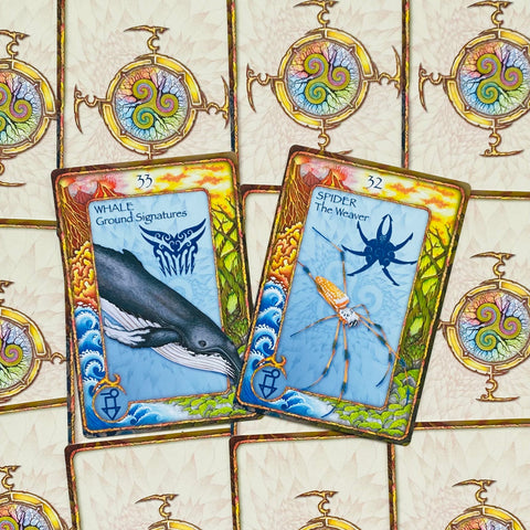 World Animal Dreaming Oracle cards