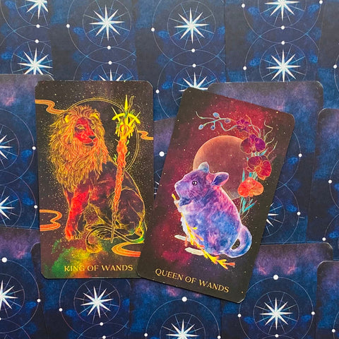 Oriens Animal tarot cards Rockpool