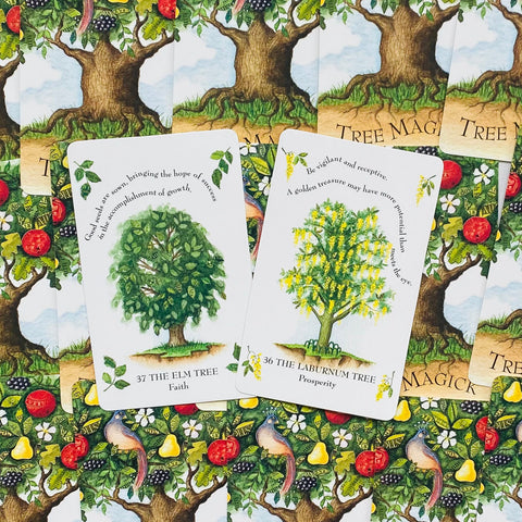 Tree Magick Oracle Cards Cico Books