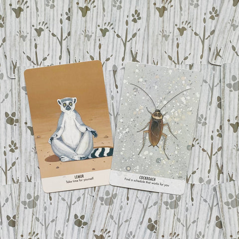 Unusual Animal Messages Oracle Cards Cico Books