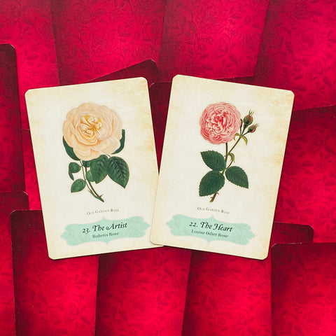 Oracle Of The Roses Cards Rockpool