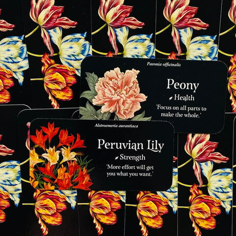 The Language of Flowers Inspiration cards Rockpool