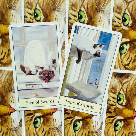 Cats Eye Tarot cards US Games Systems