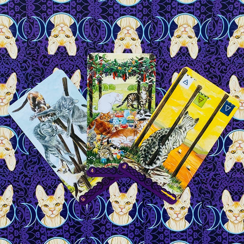 Tarot Of Pagan Cats cards Lo Scarabeo