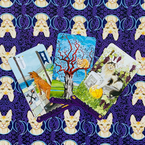 Tarot Of Pagan Cats cards Lo Scarabeo