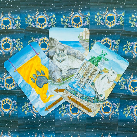 Magical Cats Tarot cards Llewellyn