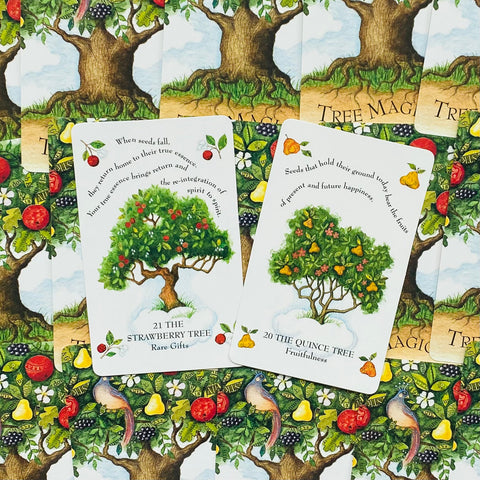 Tree Magick Oracle Cards Cico Books