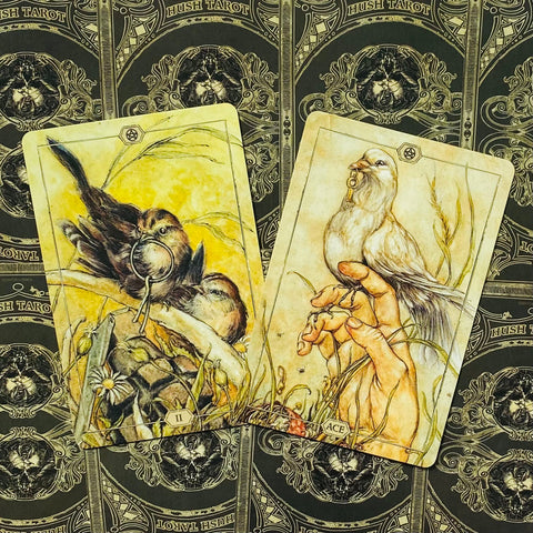 Hush Tarot cards US Games Systems