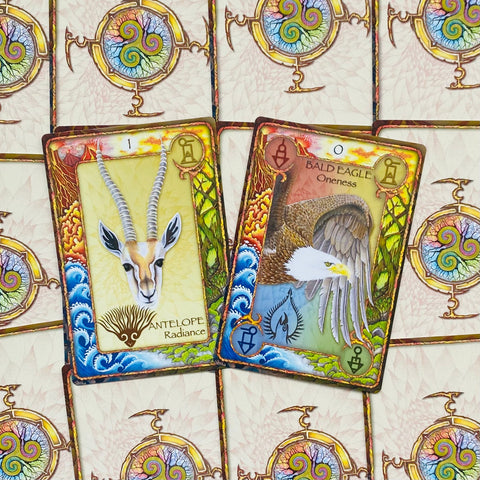 World Animal Dreaming Oracle cards