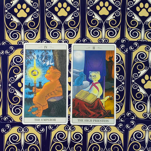 The Way Jodorowsky Explained Tarot To His Cat Cards Lo Scarabeo