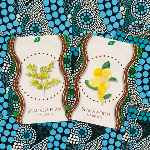 Aboriginal Healing Oracle Cards Rockpool