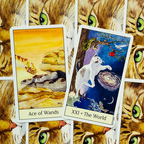 Cats Eye Tarot cards US Games Systems