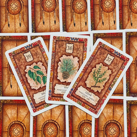 Shaman Wisdom Cards US Games Systems