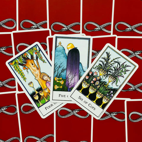 The New Palladini Tarot cards US Games Systems