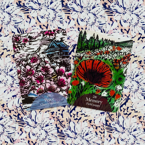 The Language of Flowers Oracle Cards Rockpool