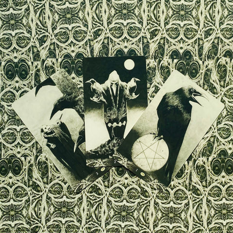Murder Of Crows Tarot Cards Deck Lo Scarabeo