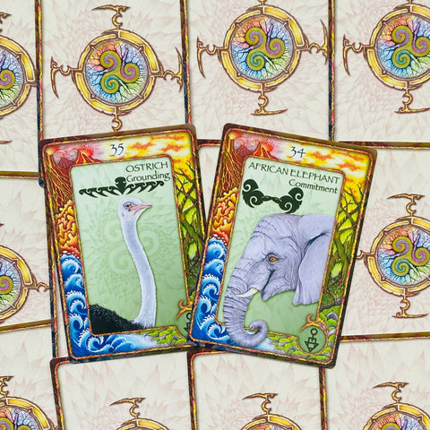 World Animal Dreaming Oracle cards