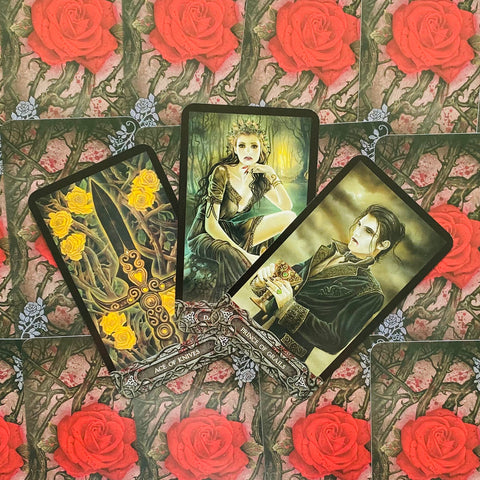 The Tarot Of Vampyres Cards Llewellyn