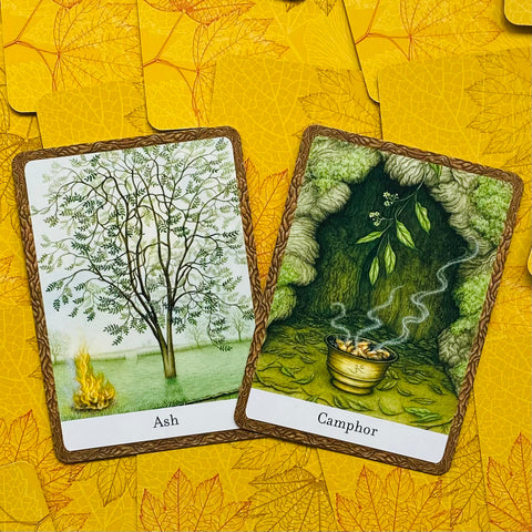 The Wisdom Of Trees Oracle Cards Watkins Publishing