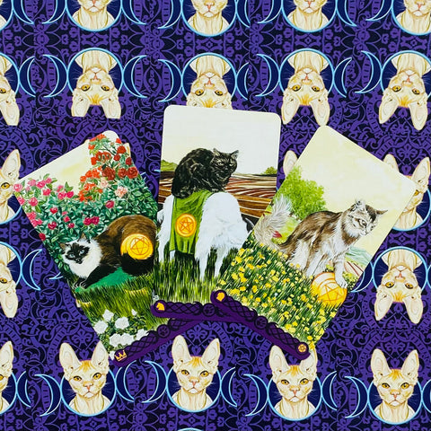 Tarot Of Pagan Cats cards Lo Scarabeo
