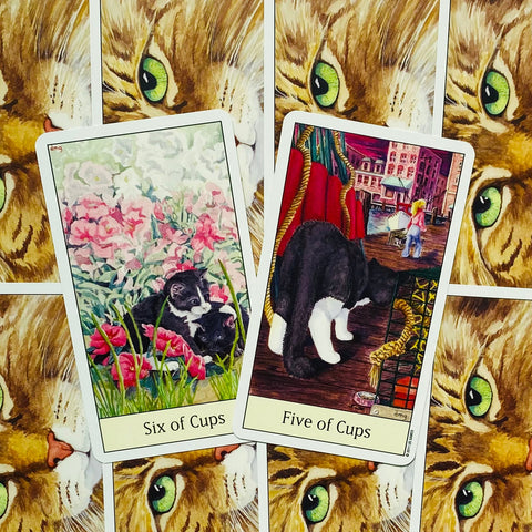 Cats Eye Tarot cards US Games Systems