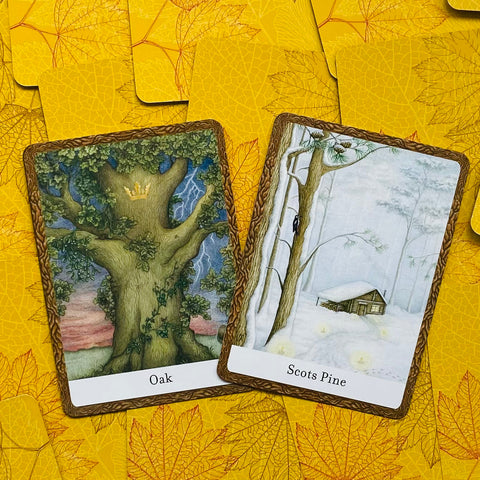The Wisdom Of Trees Oracle Cards Watkins Publishing