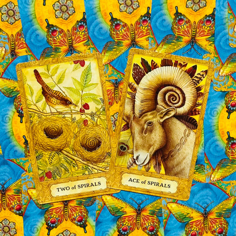 Chrysalis tarot cards and book set US Games Systems