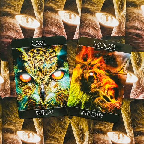 Spirit Animal Oracle Cards Beyond Words