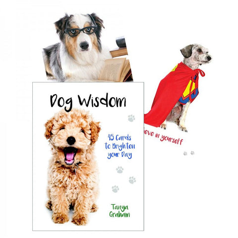 Inspirational cards Dog Wisdom Blue Angel