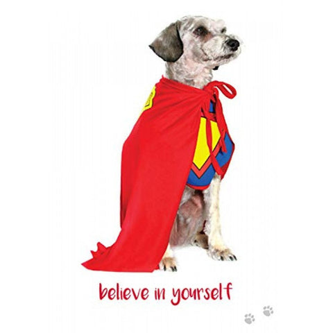 Inspirational cards Dog Wisdom Blue Angel