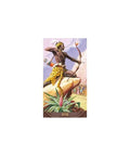 African American Tarot Cards Lo Scarabeo - Hobby.lt 🇬🇧