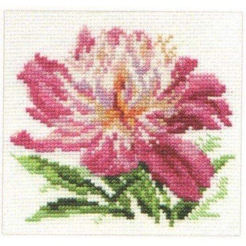 Alisa Siuvinėjimo rinkinys Rožinis bijūnas 0-119 (10x11 cm) - Hobby.lt