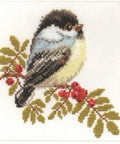 Alisa Siuvinėjimo rinkinys Paukštukas 1-12 (15x14 cm) - Hobby.lt