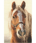 Alisa Siuvinėjimo rinkinys Blondinas 1-17 (20x29 cm) - Hobby.lt