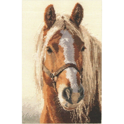 Alisa Siuvinėjimo rinkinys Blondinas 1-17 (20x29 cm) - Hobby.lt