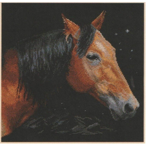 Alisa Siuvinėjimo rinkinys Juodasis žaibas 1-18 (30x30 cm) - Hobby.lt