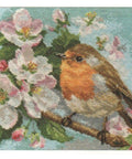 Alisa Siuvinėjimo rinkinys Robinas 1-20 (17x17 cm) - Hobby.lt