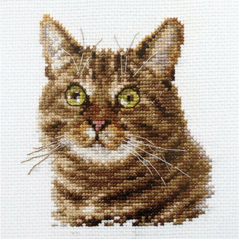 Alisa Cat Eyes Cross Stitch Embroidery Kit, 14 Count White Aida, 13 Colors, 11×12 cm, Needle and English Instructions