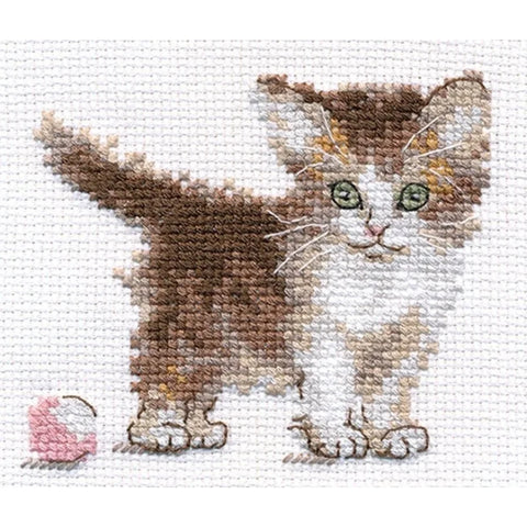 Cross Stitch Embroidery Kit with Kitten Motif, White Aida 14 ct, 10 Colors, 10 x 8 cm, Alisa, Needle Included