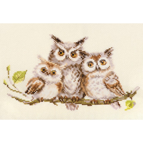 Owl Cross Stitch Embroidery Kit, Aida 14 Fabric, 19 Colors, Alisa, 22×13 cm, Needle and Instructions Included
