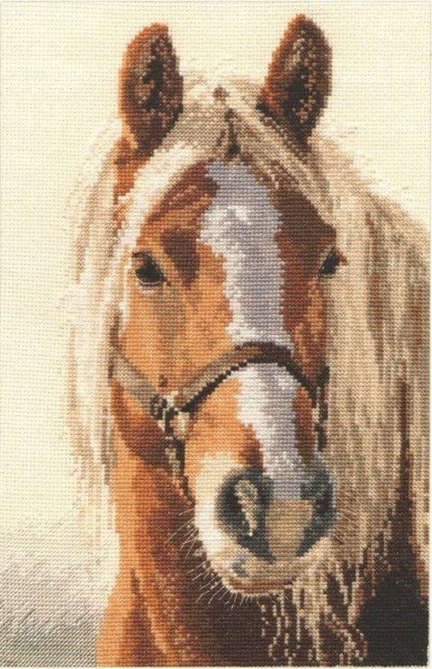 Alisa Siuvinėjimo rinkinys "Blondinas" 1 - 17 (20x29 cm) - Hobby.lt 🇬🇧