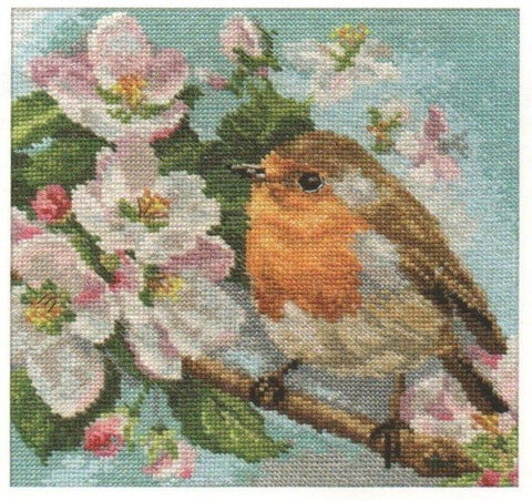 Alisa Siuvinėjimo rinkinys "Robinas" 1 - 20 (17x17 cm) - Hobby.lt 🇬🇧