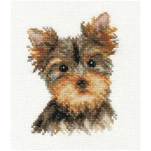 Cross Stitch Embroidery Kit with White 14 Count Aida, 17 Thread Colors, 10 x 13 cm, Alisa, Needle and English Instructions