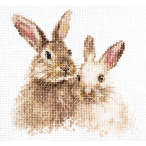 Cross Stitch Kit with Cute Bunnies, Alisa Aida Fabric, Cotton Threads, Needle, Pattern and Instructions, Multicolor DIY Craft Set