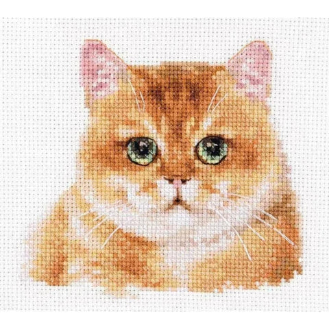 Alisa Cross Stitch Kit “Teddy Cat” Embroidery Kit for Beginners and Advanced Crafters, Cat Motif for Home Décor