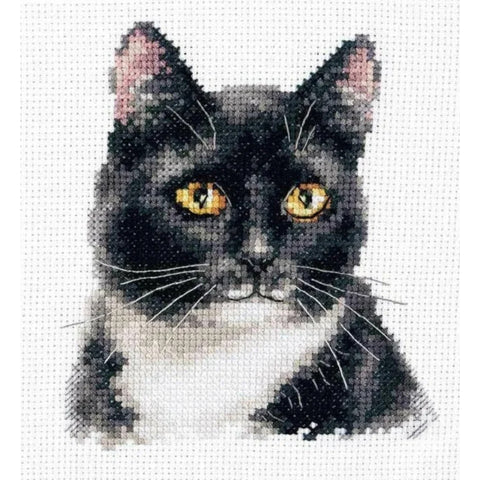 Black Cat Cross Stitch Kit, Complete Embroidery Set with Aida Fabric, Cotton Threads, Needle and Color Chart by Alisa