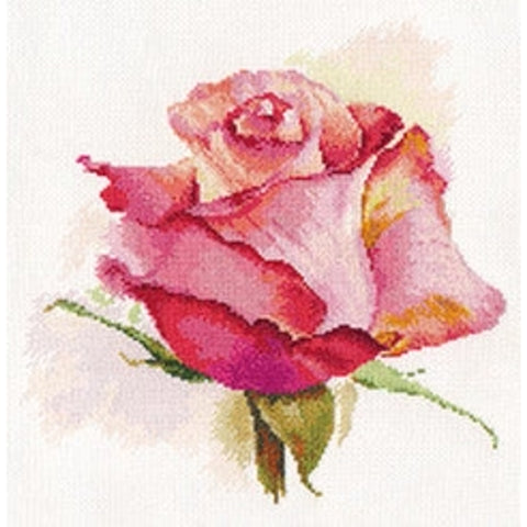 Rose Cross Stitch Kit with 16 ct White Aida, 24×24 cm, 34 Thread Colors, English Instructions, Alisa