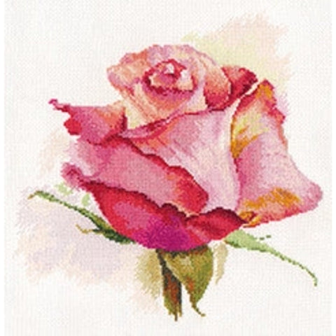 Rose Cross Stitch Kit with 16 ct White Aida, 24×24 cm, 34 Thread Colors, English Instructions, Alisa