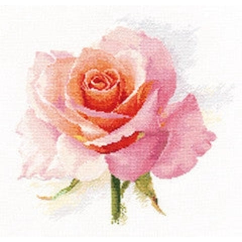 Rose Cross Stitch Kit, Alisa Embroidery Set, 16 Count White Aida, 24×24 cm, 33-Color Thread Palette, English Instructions